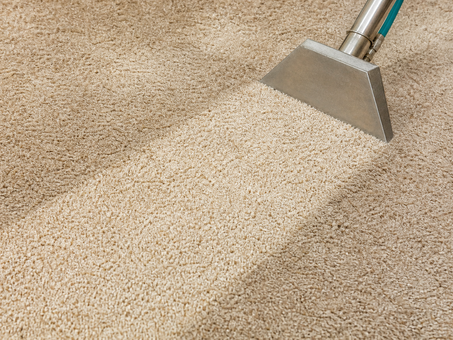 Close-up of carpet cleaning equipment making a clean pass across beige carpet